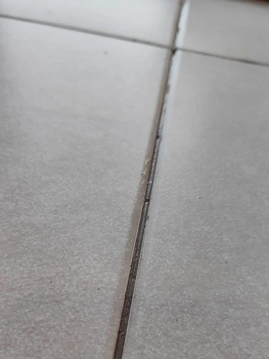 Image #1 de Nestor Francois