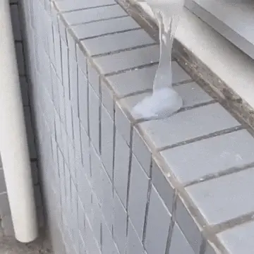 Agent-Imperméable-Anti-Fuites-gify